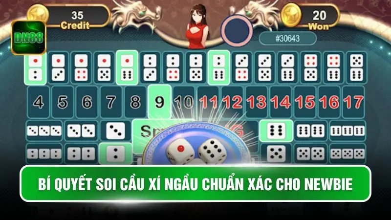 Bí quyết soi cầu xí ngầu chuẩn xác cho newbie